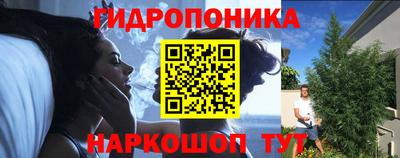 гашик Бузулук