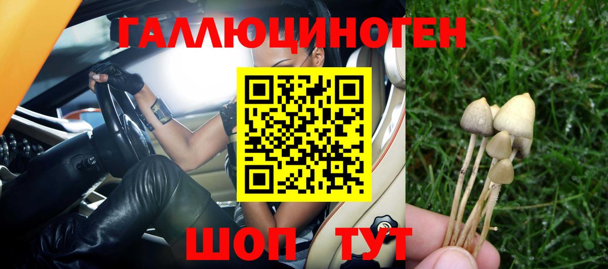 Галлюциногенные грибы Magic Shrooms Самара